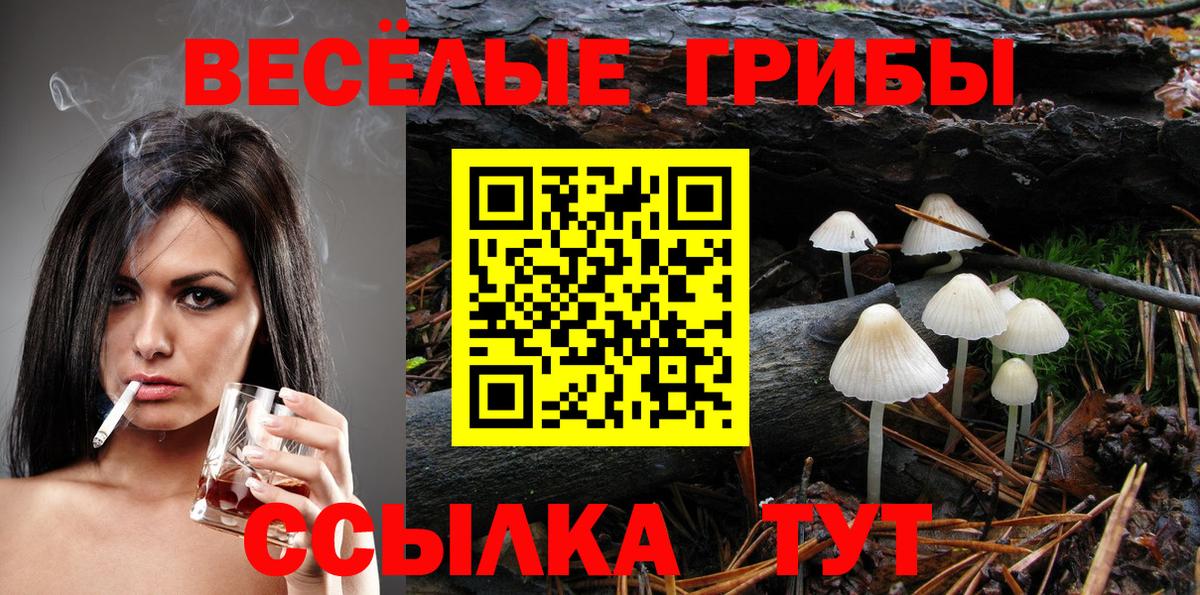 Псилоцибиновые грибы MAGIC MUSHROOMS  купить наркотик  Осинники  Галлюциногенные грибы Magic Shrooms  Вход с VPN 
